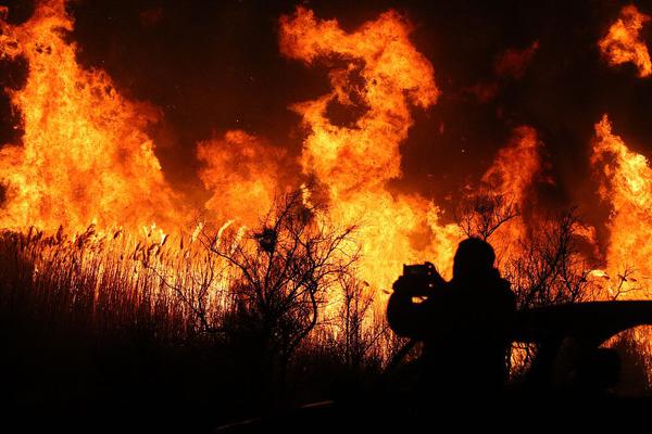 穿成克夫小夫郎by路歸途百度云下載