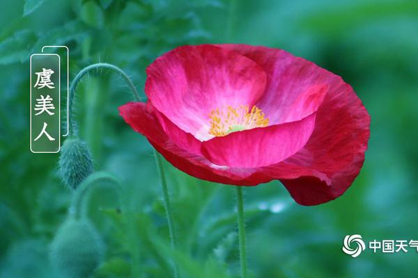 強娶by傅渝免費閱讀小說