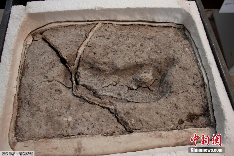 《那該死的愛》by空夢(mèng)小說(shuō)