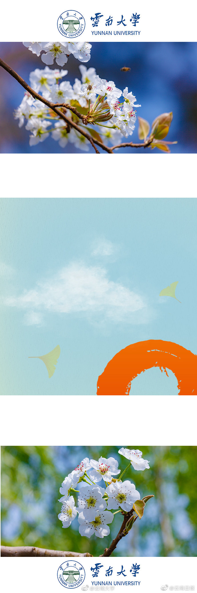 pop胖胖字體大全