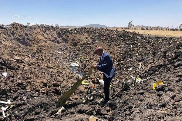 掌骨生花裴硯忱txt