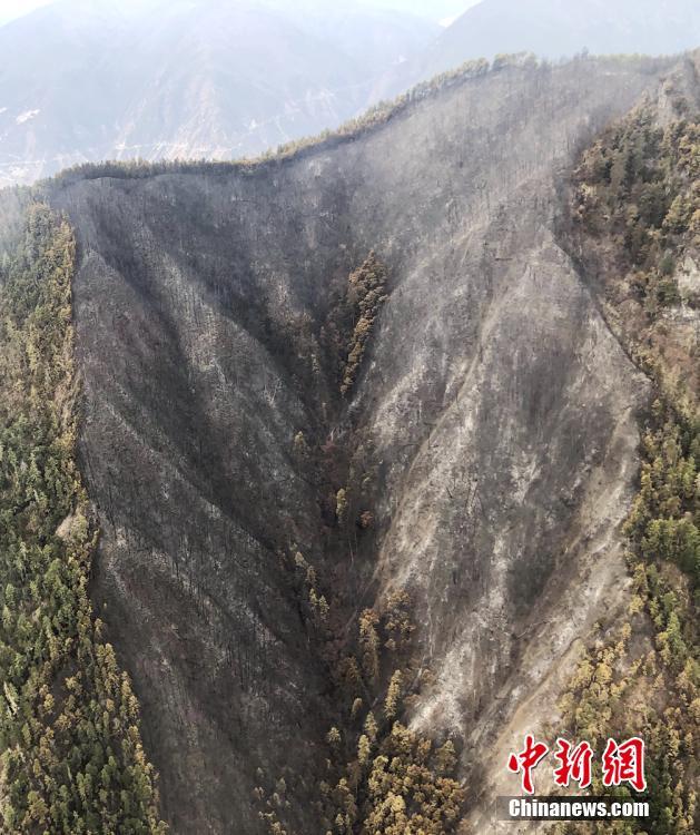 頂級暴徒2小說by周扶妖全文閱讀