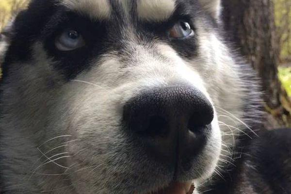 《嫁姐》by鳴鑾