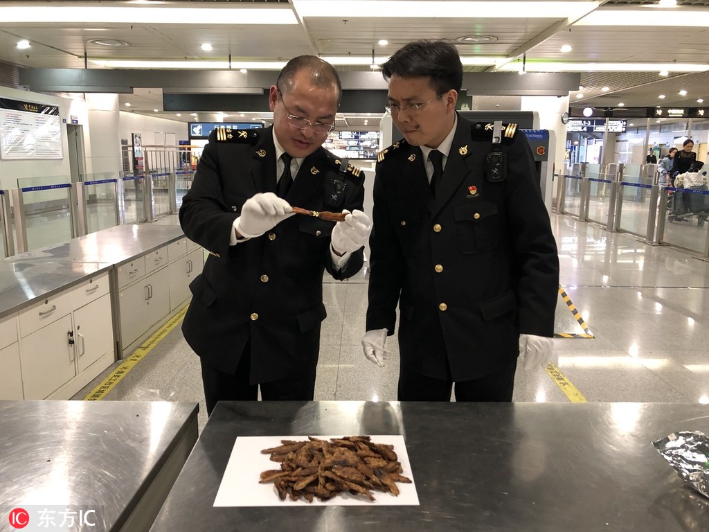 《肆火》by樹延小說