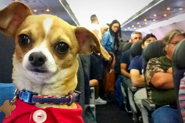 隱秘死角全文TXT