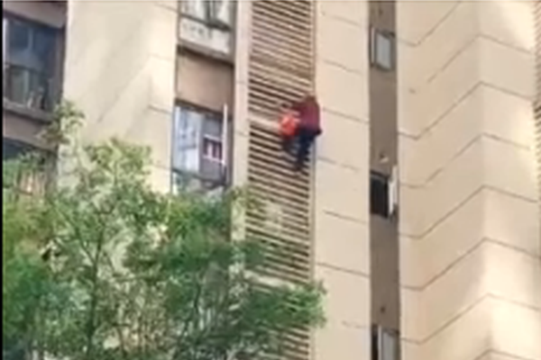 大道獨行txt奇書網