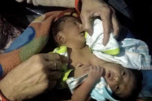 崇寧的愛好(校園) 作者:浪南花