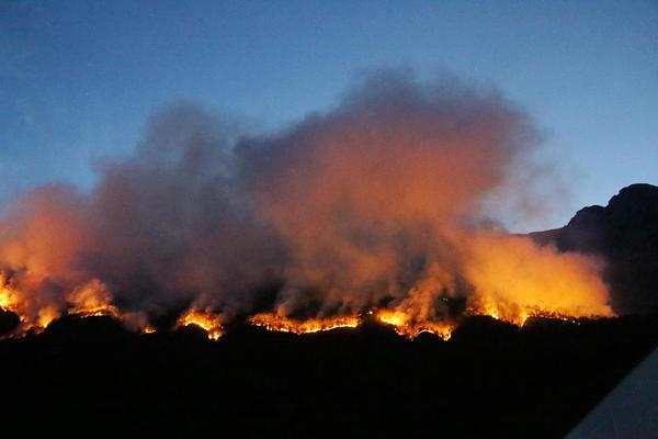 黑道學生txt下載