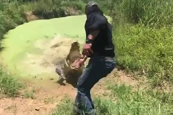 糙漢文筆趣閣古代