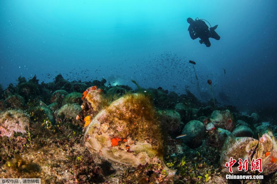 《姜可》by全文免費閱讀新天禧