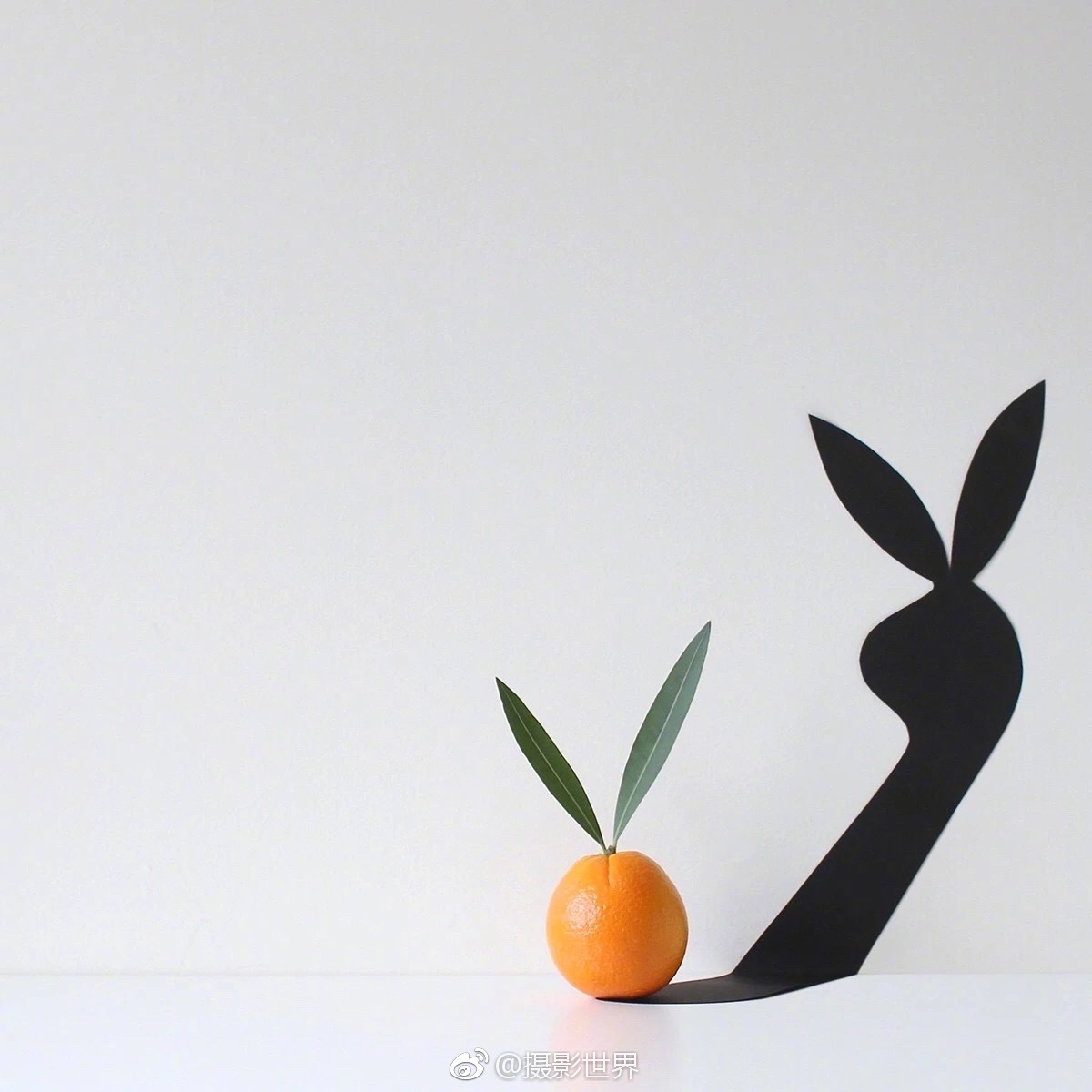 真為藝術獻身了gl筆趣閣最新章節內容