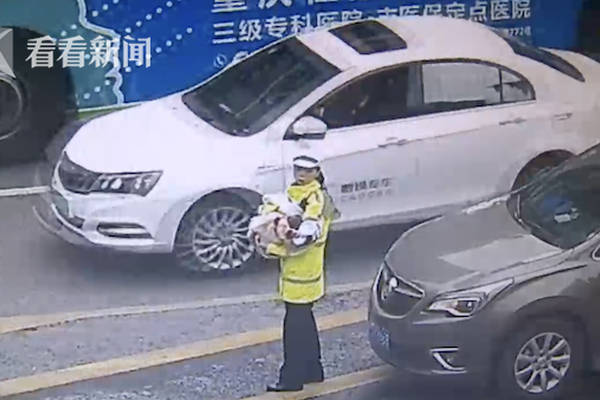 重生之兄友弟恭txt風(fēng)鳥乘風(fēng)