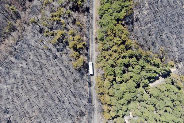 竹馬他蓄謀已久全文閱讀