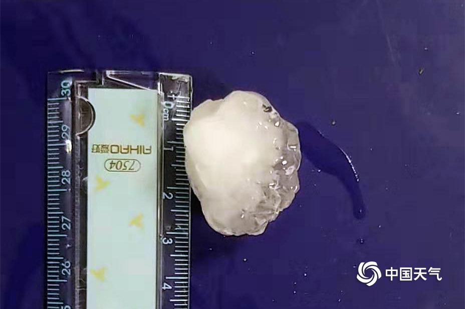 傲天狂尊TXT下載