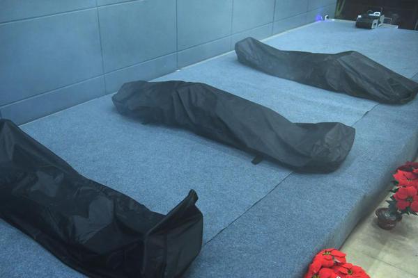 [ratatatat74][中國翻譯]