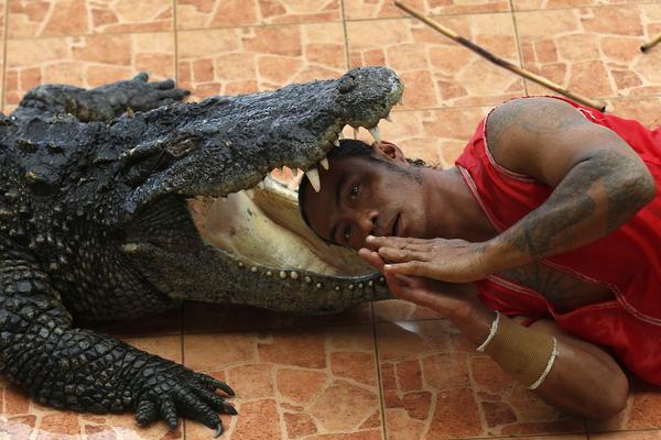 逢迎po作者瞰霧