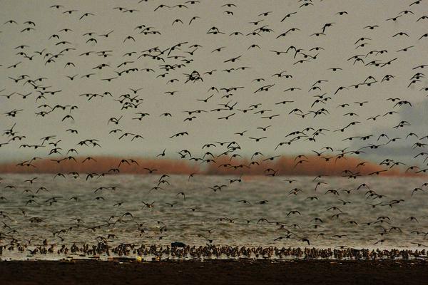 穿越到湮婦世界npc視頻