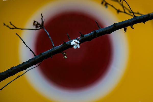 《燈光》by木易雨山書評