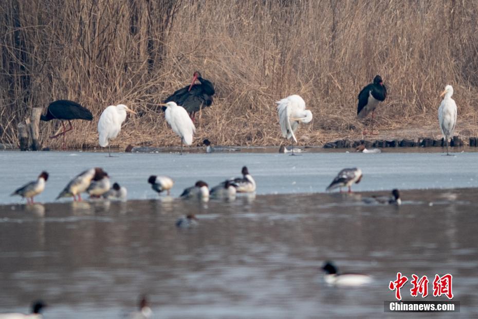 寵你入懷(雙)陸佑安半人間