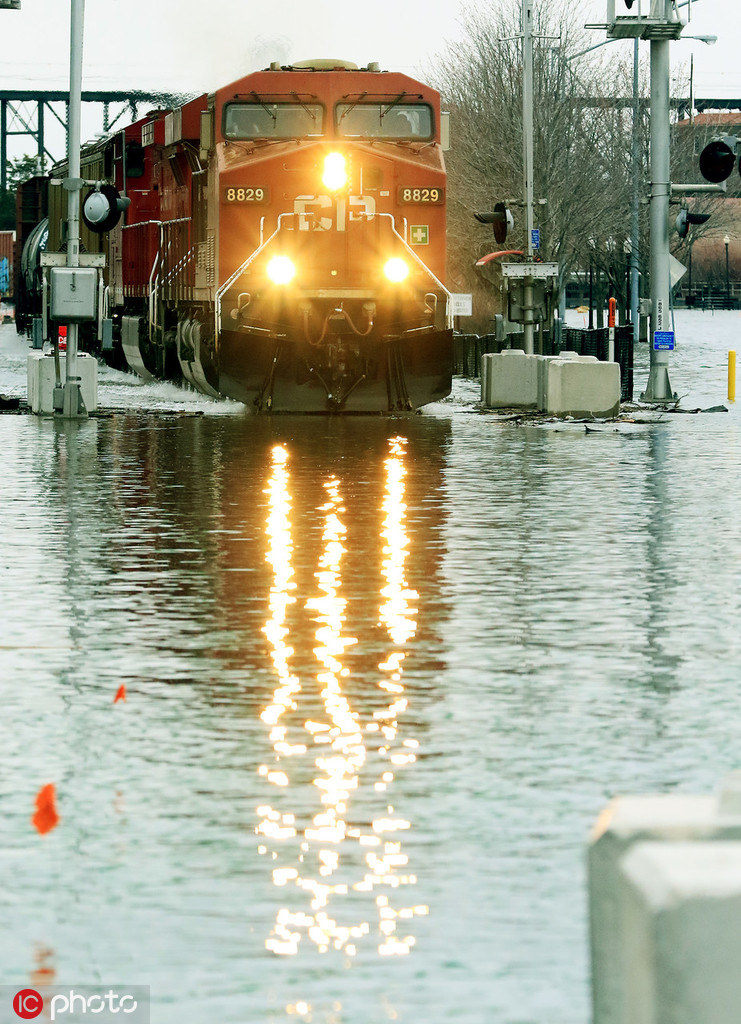 這個alpha香爆了[穿書