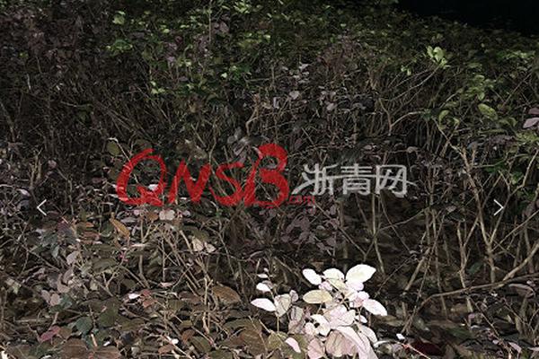 玉奴養玉小說TXT筆趣閣