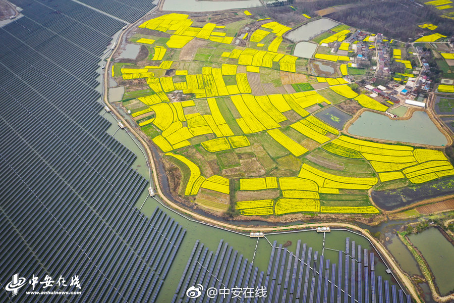 《春歸晏》by藤蘿為枝講的什么