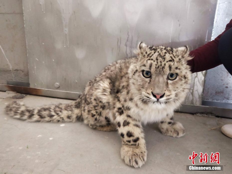 錯撩百度云盤txt