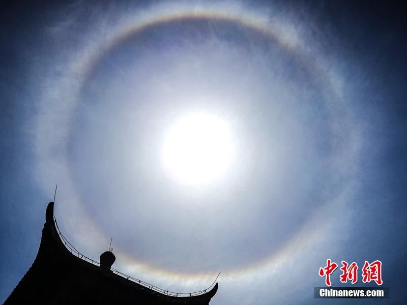 折竹by一十四洲免費閱讀