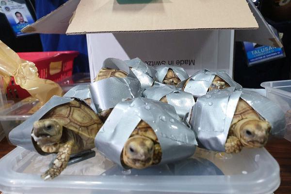 超級神豪系統主角林東TXT