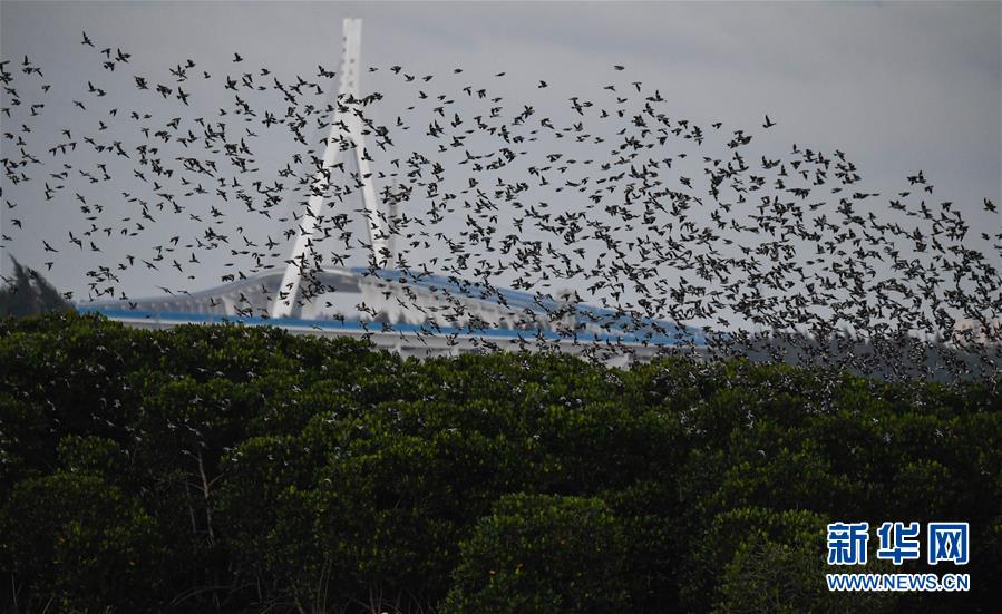 東方地獄火TXT全集下載