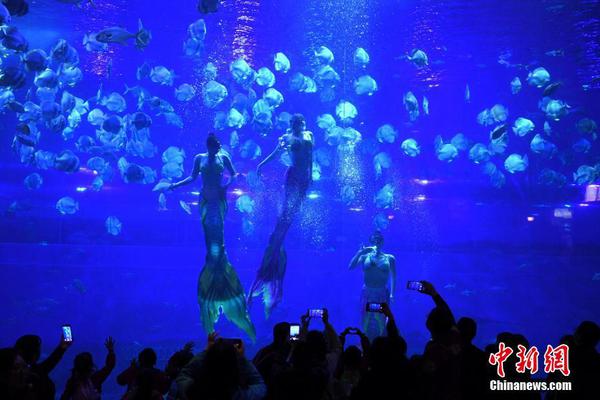 《悖論》小說by