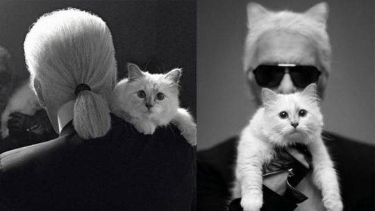 《失控》by煙貓與酒共有幾章