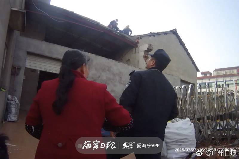 驟落全文番外txt