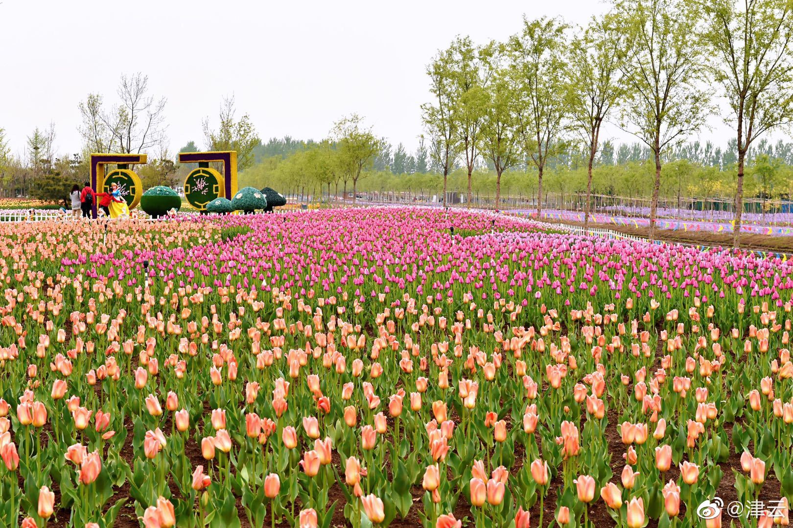 安撫by重音筆趣閣