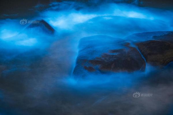 阿梨txt百度網盤密碼