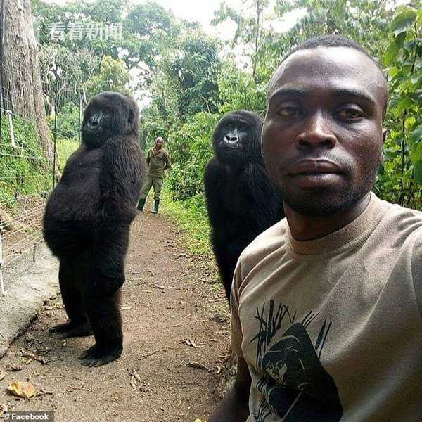 《宿舍》金銀花露txt免費閱讀漫畫