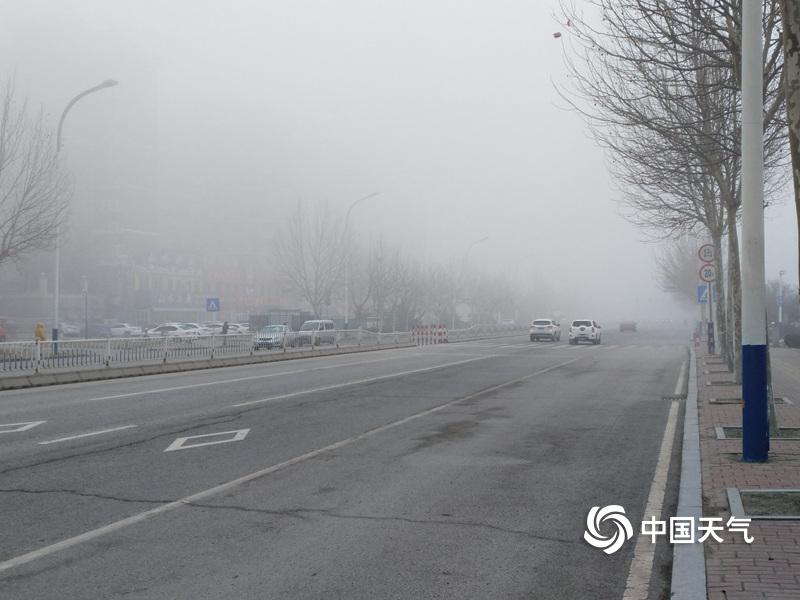 一口忘崽by杳杳一言