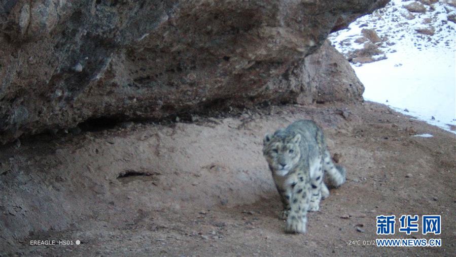 《遮天》txt筆趣閣精校版