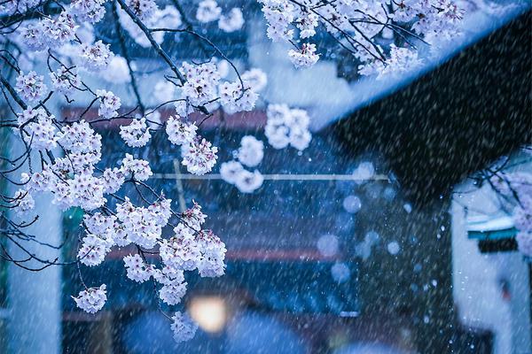 白水水和閨蜜的父親小說叫什么名字