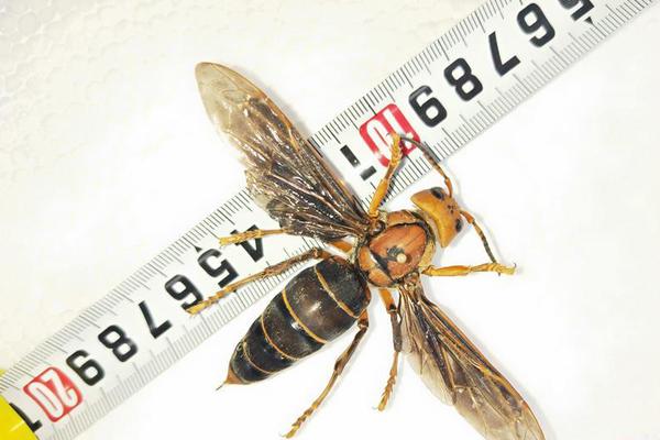 唇耳by人皮燈籠筆趣閣TXT百度云