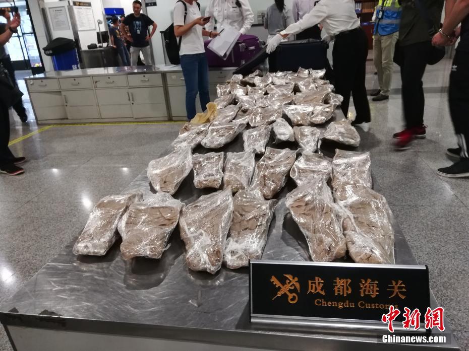 竹馬太兇猛,乖乖女又瘋又酷的小說叫