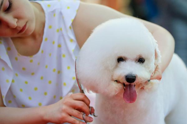 別哭TXT下載全文免費閱讀