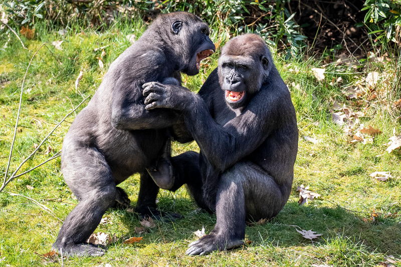 漢朝那些事兒TXT下載