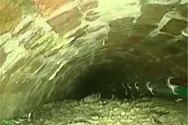 恣意獨占by法拉栗百度云