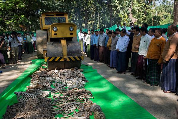 掌心芭蕾(師生)by宋秋