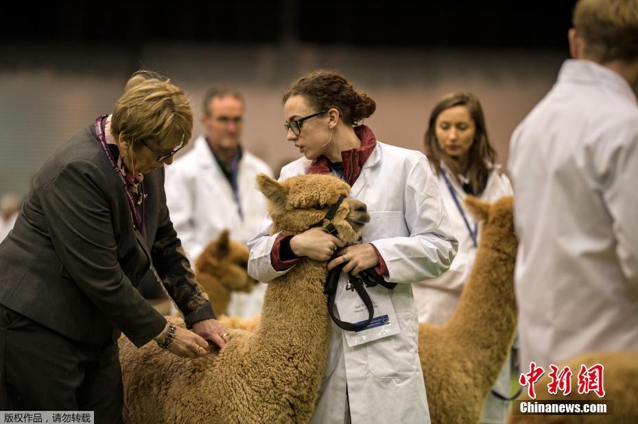 錯位關系by東哥筆趣閣百度云