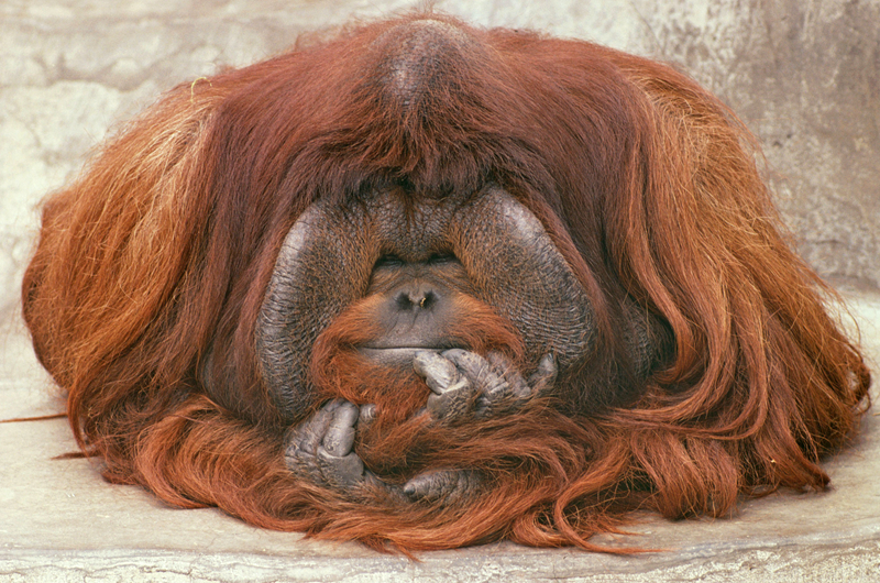 《荊棘滿途》骨科txt