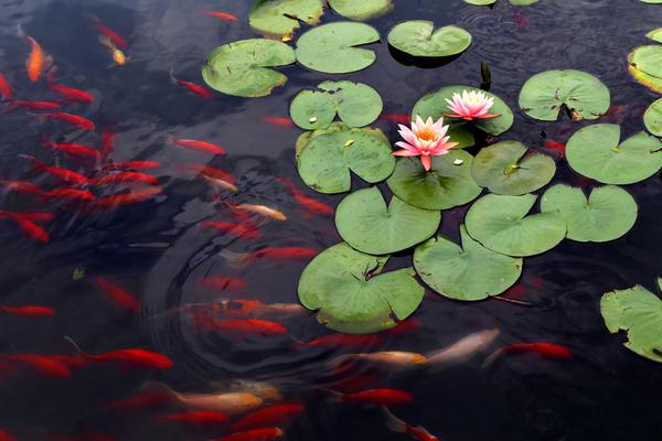 《走錯路》txt百度網盤