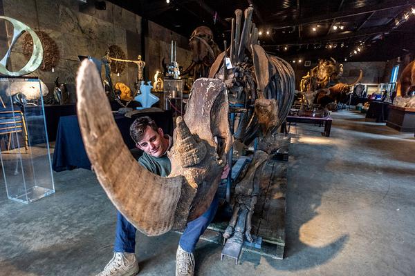 蟻賊百度網(wǎng)盤(pán)TXT下載百度云