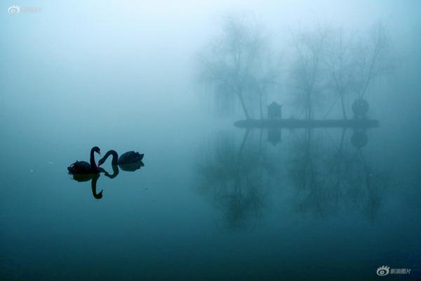 《某某》by木蘇里小說